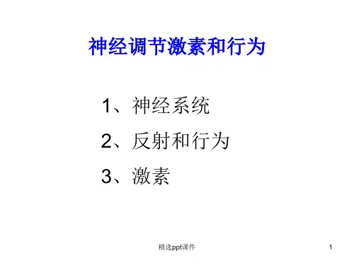 神经系统-激素调节