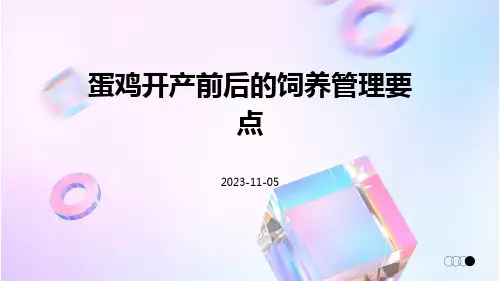蛋鸡开产前后的饲养管理要点