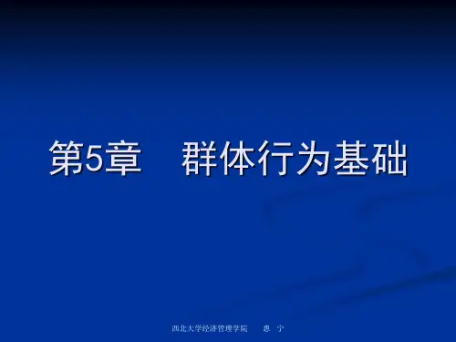 第5章   群体行为基础