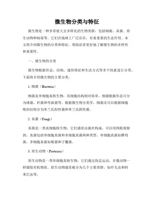 微生物分类与特征