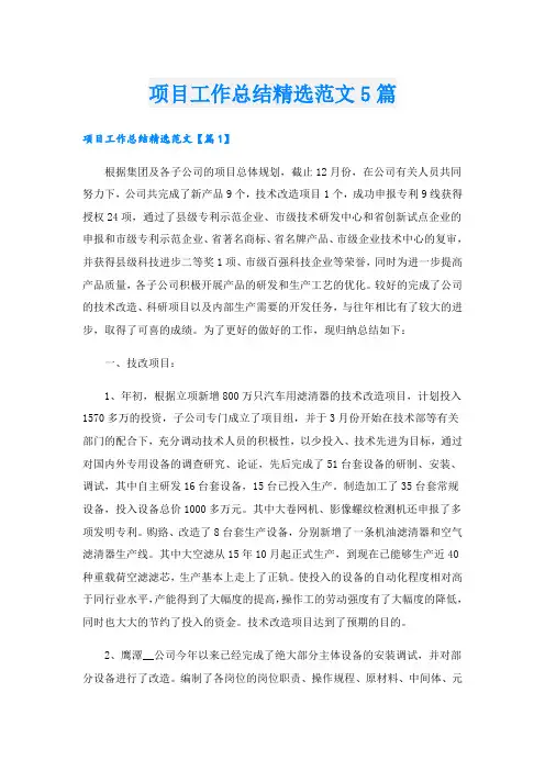 项目工作总结精选范文5篇
