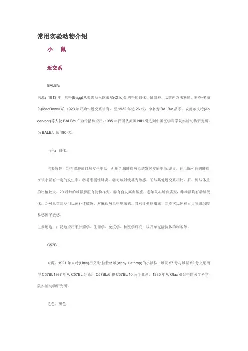常用试验动物介绍