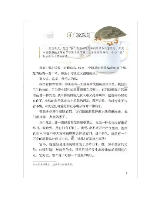 部编版五年级上册语文第四课《珍珠鸟》重点课文、字词解析