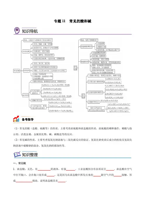 专题11 常见的酸和碱【考点精讲】-【中考高分导航】- 中考化学考点总复习(全国通用)(原卷版)