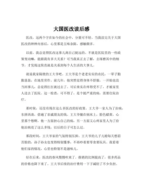 大国医改读后感