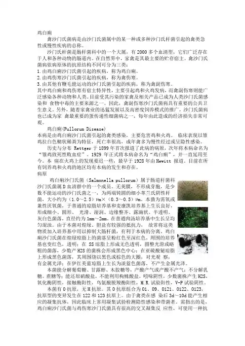 鸡白痢_禽病学