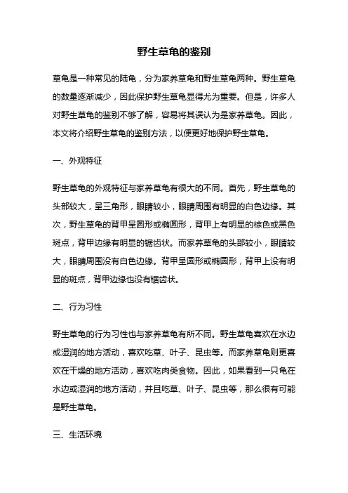 野生草龟的鉴别