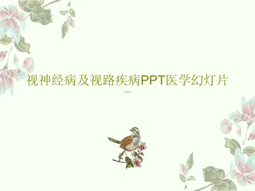 视神经病及视路疾病PPT医学幻灯片共55页PPT