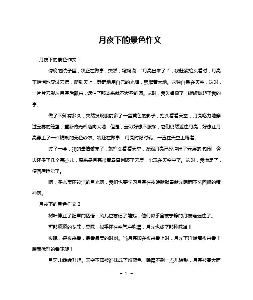 月夜下的景色作文