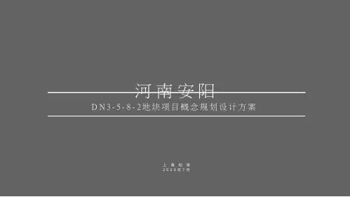 项目定位及地块概念方案