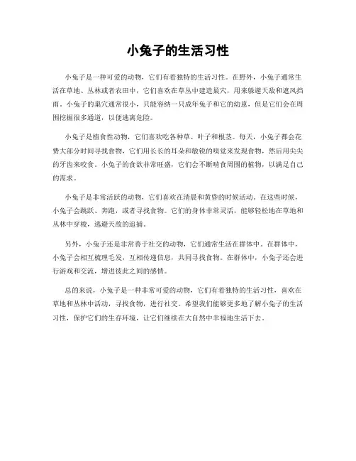 小兔子的生活习性