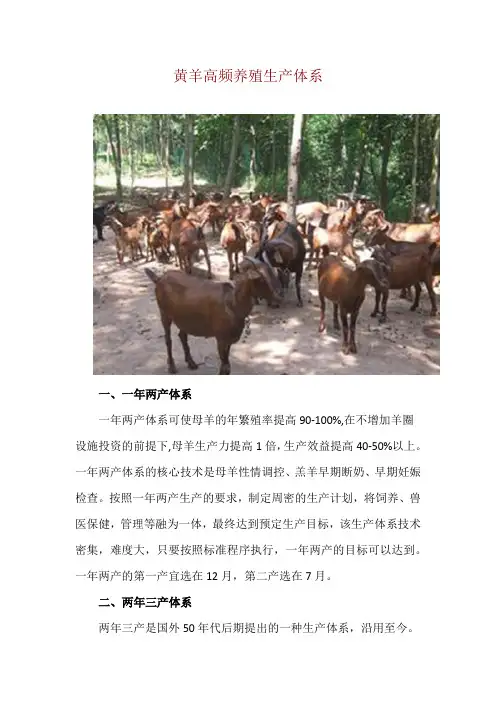 黄羊高频养殖生产体系