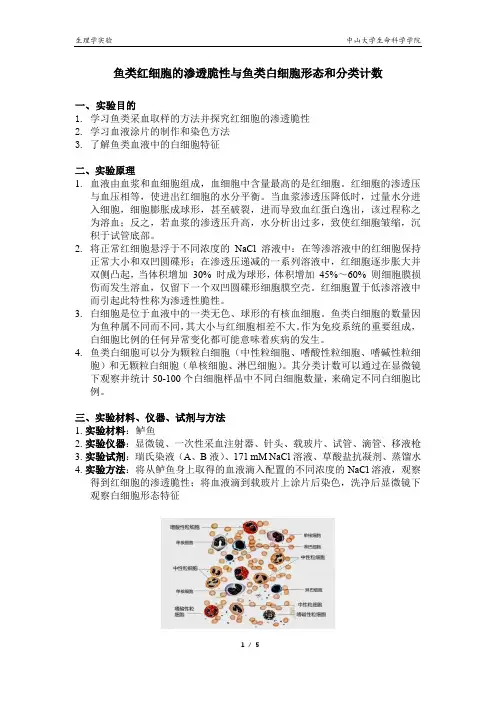 中山大学鱼类红细胞的渗透脆性和鱼类白细胞形态和分类计数生理学实验报告