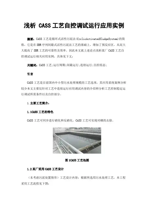 浅析CASS工艺自控调试运行应用实例