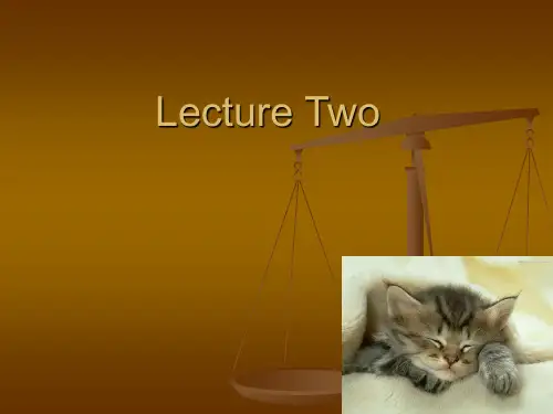 法律翻译lecture  two