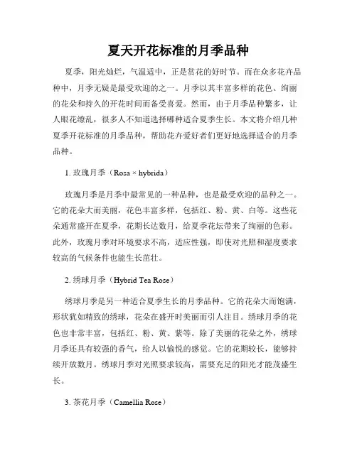 夏天开花标准的月季品种