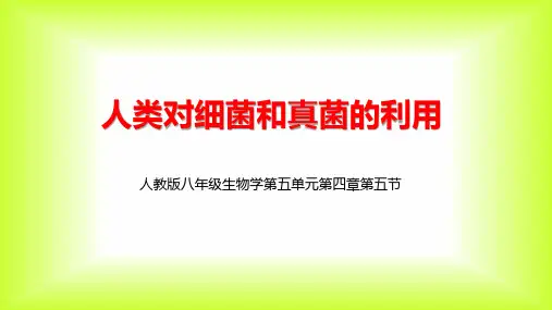 5.4.5 人类对细菌和真菌的利用(共27张PPT+内嵌视频1个)人教版初中生物八年级上册