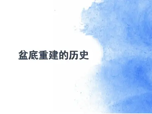 盆底重建的历史PPT课件