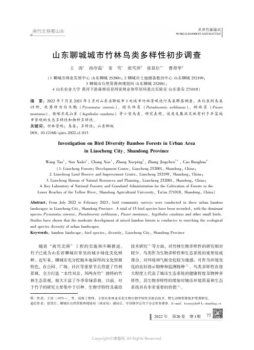 211050688_山东聊城城市竹林鸟类多样性初步调查