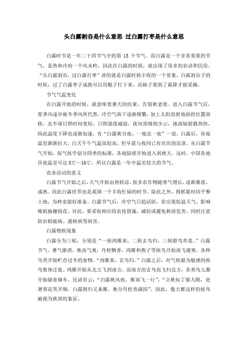 头白露割谷是什么意思 过白露打枣是什么意思