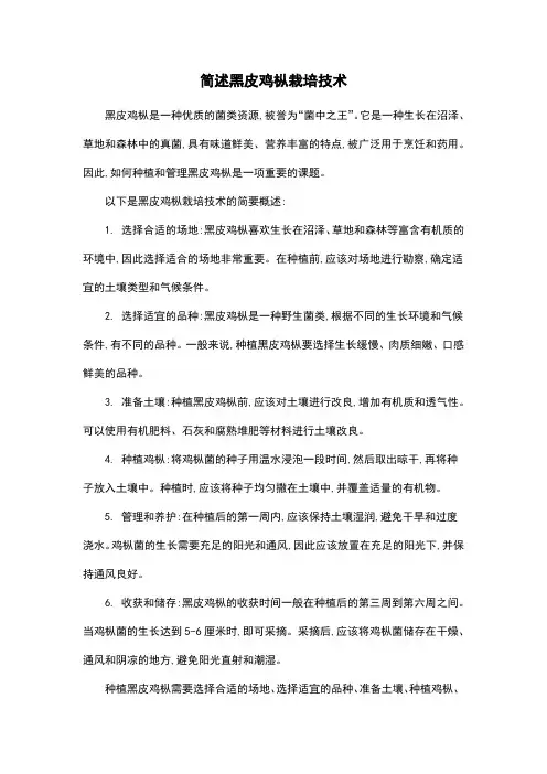 简述黑皮鸡枞栽培技术