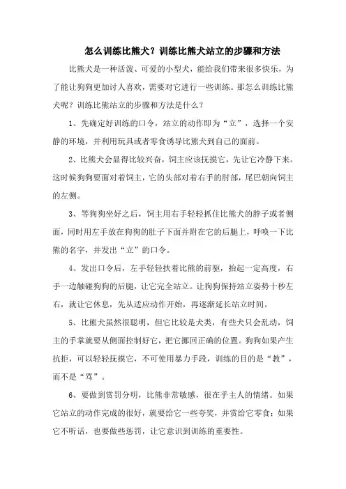 怎么训练比熊犬？训练比熊犬站立的步骤和方法