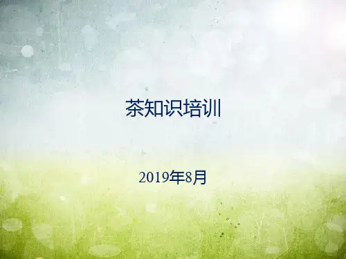 茶知识培训