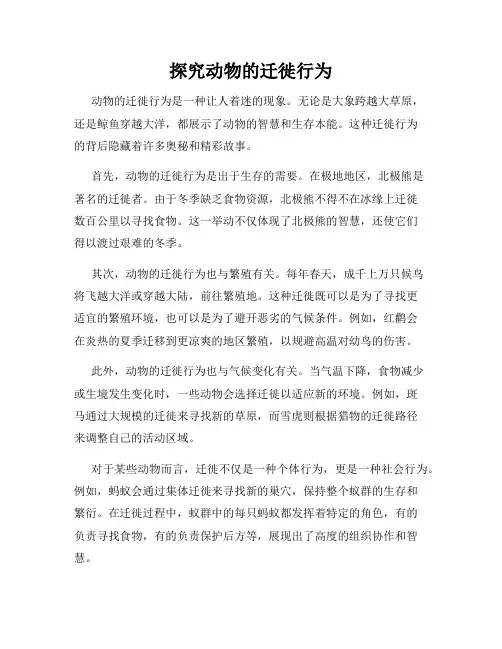 探究动物的迁徙行为