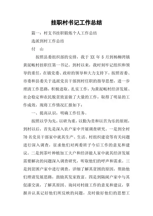 挂职村书记工作总结