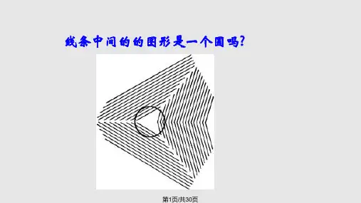 视觉欺骗数学有趣图形备用PPT课件