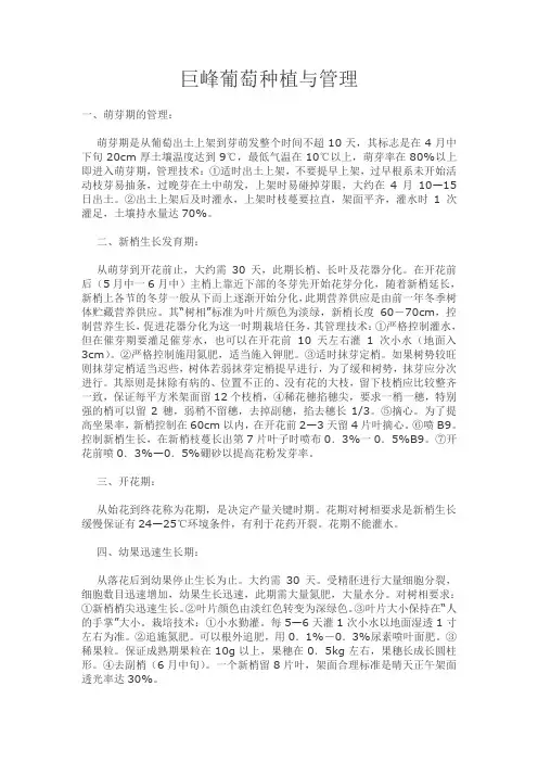 巨峰葡萄种植与管理
