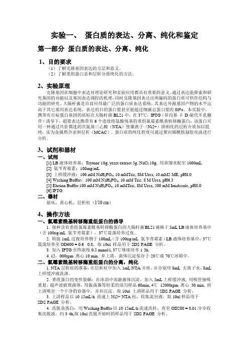 蛋白质的表达、分离、纯化和鉴定