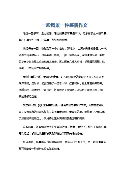 一段风景一种感情作文