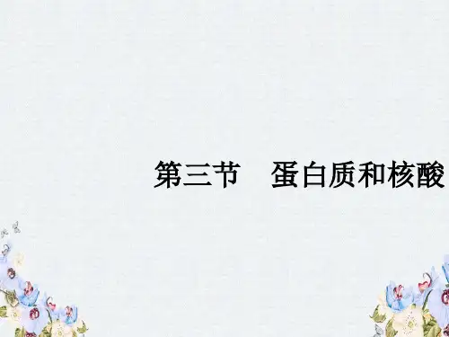 人教版高中化学选修五课件4.3蛋白质和核酸 