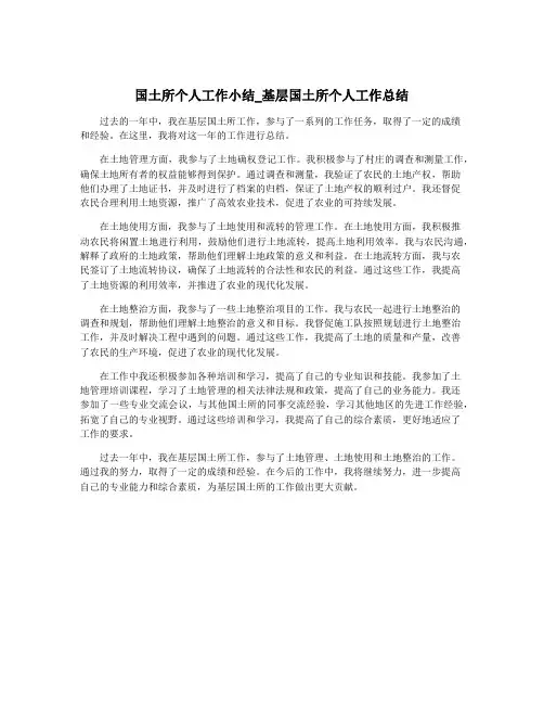 国土所个人工作小结_基层国土所个人工作总结