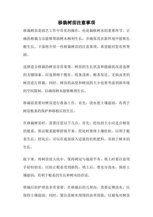 移栽树苗注意事项