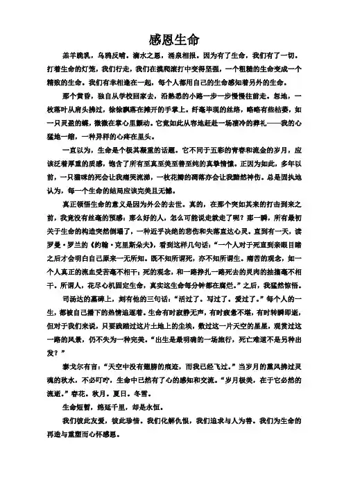 感恩生命