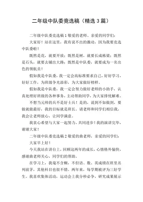 二年级中队委竞选稿(精选3篇)