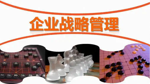 《企业战略管理》课件第四章