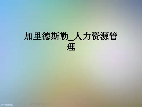 加里德斯勒_人力资源管理