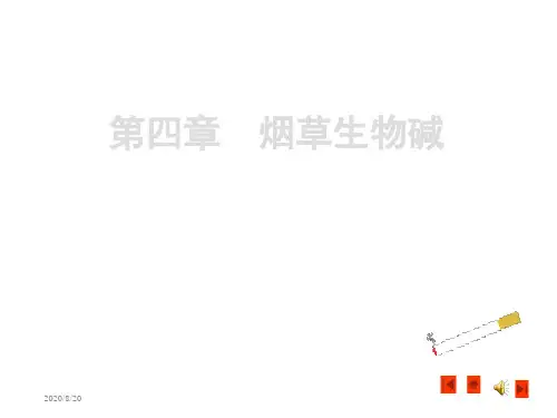 烟草生物碱知识讲解