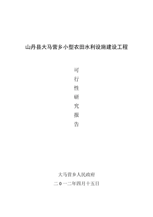 山丹县大马营乡渠道建设项目可研研究报告
