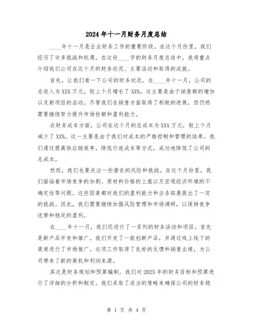 2024年十一月财务月度总结(2篇)