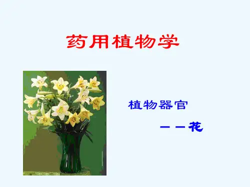 药用植物学课件-植物器官花精选全文