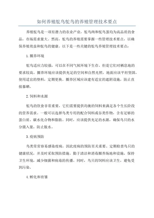 如何养殖鸵鸟鸵鸟的养殖管理技术要点