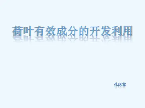 荷叶有效成分的开发利用(详细版)