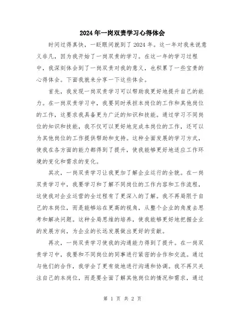 2024年一岗双责学习心得体会 