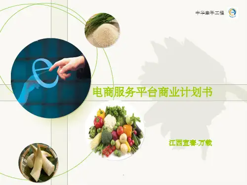 农村电商平台商业计划书ppt