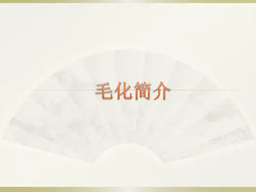 毛化介绍