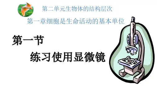 人教版七年级上册.1《练习使用显微镜》课件 